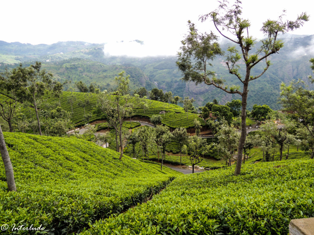 A Guide to Road-tripping Across Nilgiris - Ooty & Coonoor - Interlude ...